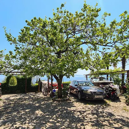 Amazing In Apartamento