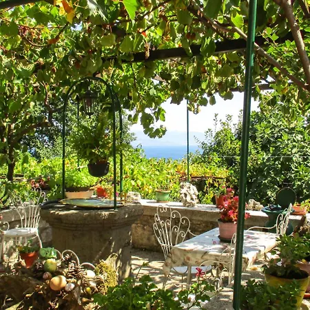 Amazing In * Opatija