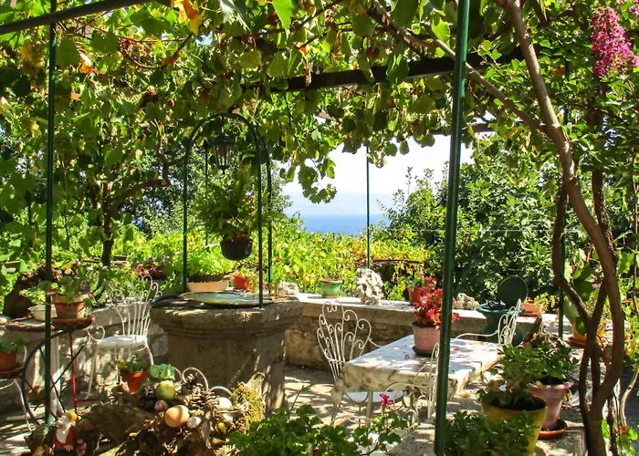 Amazing In * Opatija