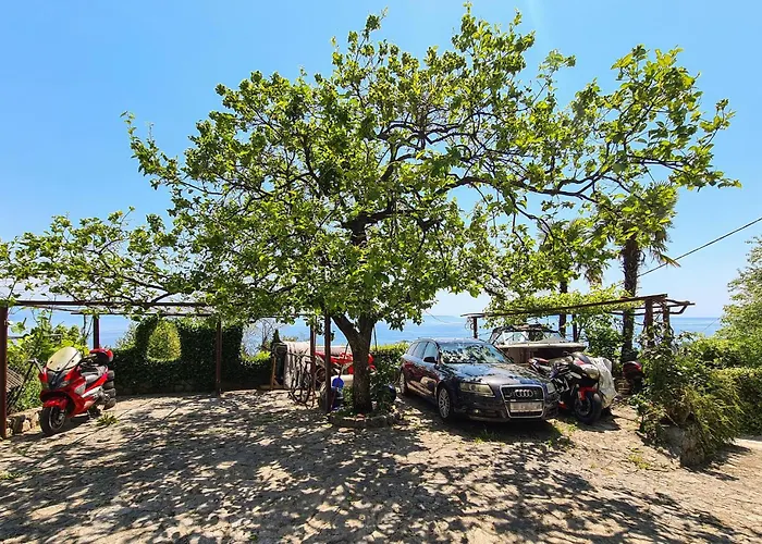 Amazing In Lejlighed