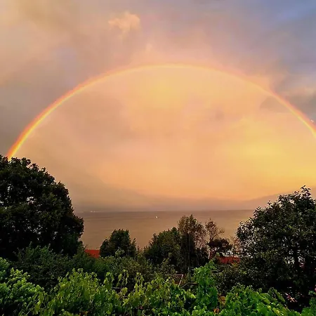 아파트 Amazing In